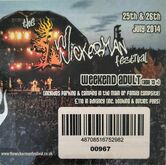 Wickerman 2014 on Jul 25, 2014 [786-small]