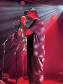 Foxing / Poppy Wizard on Jun 1, 2025 [503-small]