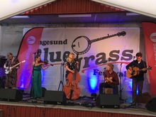 Straps / Skare / Drolsum Stasjon on Jun 18, 2016 [731-small]