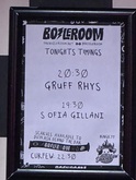 Gruff Rhys / Sofia Gillani on Jun 11, 2025 [991-small]