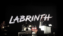 Red Hot Chili Peppers / Fall Out Boy / Labrynth / Cage The Elephant / Otherkin on Aug 25, 2016 [741-small]