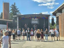 Insulter / Dying Angel / The Lapdogs / Ruby Riot / Bad Baboons / Fünf Minuten Ruhm on Jun 28, 2025 [716-small]