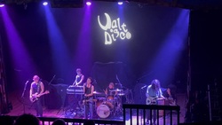 O.M.D. / Walt Disco on Jul 1, 2025 [159-small]