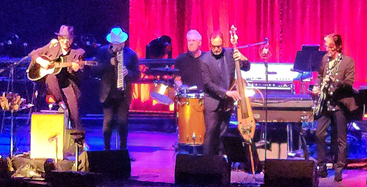 Elvis Costello Concert & Tour History (Updated for 2025) | Concert Archives