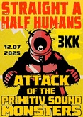 The Straight A / The Half Humans on Jul 12, 2025 [183-small]