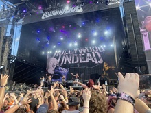 My bud crowd surfin , tags: Hollywood Undead - Welcome to Rockville 2025 on May 15, 2025 [333-small]