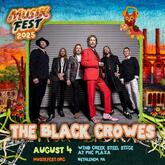 The Black Crowes / The Band Feel on Aug 4, 2025 [903-small]