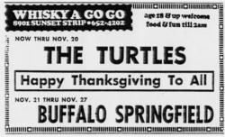 Buffalo Springfield / the poor on Nov 25, 1966 [913-small]
