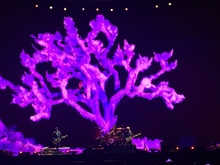 U2 / Mumford & Sons on May 14, 2017 [027-small]