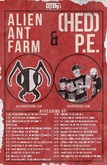 Alien Ant Farm / (hed)PE on Apr 1, 2015 [481-small]