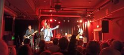The Hothouse Flowers on Dec 7, 2024 [439-small]
