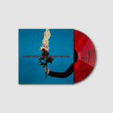 As December Falls, tags: As December Falls, Glasgow, Scotland, United Kingdom, Merch, Assai Records - As December Falls on Aug 21, 2025 [362-small]
