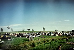 The Tragically Hip / Midnight Oil / Crash Vegas / Hothouse Flowers / Daniel Lanois on Jul 24, 1993 [276-small]