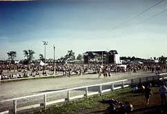 The Tragically Hip / Midnight Oil / Crash Vegas / Hothouse Flowers / Daniel Lanois on Jul 24, 1993 [287-small]
