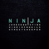 Jane's Addiction / Nine Inch Nails / Street Sweeper Social Club on Jun 7, 2009 [520-small]