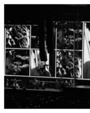 Oasis / Cage The Elephant on Aug 25, 2025 [337-small]