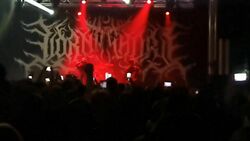 Lorna Shore / Rivers of Nihil / Distant / Ingested on Nov 7, 2023 [892-small]