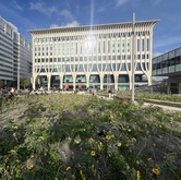 Residentie Orkest / Andrew Grams (Conductor) / Karen Gomyo, Violin on Sep 28, 2025 [897-small]