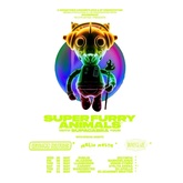 Super Furry Animals / Getdown Services / Melin Melyn on May 16, 2026 [401-small]
