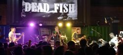 Dead Fish / Mukeka di Rato / Galinha Preta / Trampa / Xavosa / Dfc (BR) on Oct 11, 2025 [105-small]