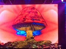 Allman Brothers Band on Oct 28, 2014 [348-small]