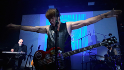 The Chameleons on Oct 29, 2025 [321-small]