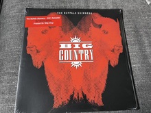 Big Country on Nov 3, 1993 [494-small]