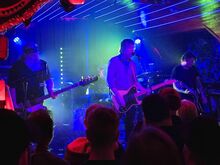 Shiner / Mirrorless / Pack of Larks on Nov 12, 2025 [613-small]
