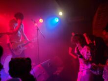 Souhra nehod / Polojasno / Wreckberries on Nov 14, 2025 [313-small]