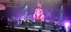 The Australian Pink Floyd Show on Nov 11, 2025 [705-small]