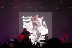 Vans Warped Tour - Orlando on Nov 15, 2025 [929-small]