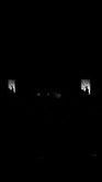 Tom Odell / CMAT on Jul 2, 2024 [490-small]