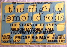 The Mighty Lemon Drops / The Stars of Heaven on May 8, 1987 [014-small]