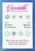 Gavriella Silverman / Indigo Elephant / Marié Sakai on Dec 2, 2025 [535-small]