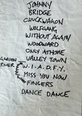 Skydiggers / Elliott Brood on Jun 18, 2009 [829-small]