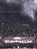 tags: Crowd - Kansas State University Marching Band / Classy Cats / K-State Cheer / Willie the Wildcat / K-State Color Guard on Nov 26, 2022 [596-small]