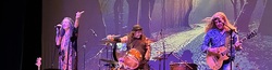 The Pure Zeppelin Experience on Dec 27, 2025 [496-small]