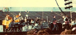 Genesis / Elvis Costello & the Attractions / Blondie / A Flock of Seagulls / ROBERT HAZARD &THE HEROES on Aug 21, 1982 [605-small]