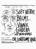 Soft Nerve / Balms / Vinnie Guidera and the Dead Birds / Oh, Lonesome Ana on Jan 29, 2019 [737-small]