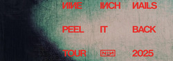 Nine Inch Nails / Boys Noize on Aug 6, 2025 [071-small]