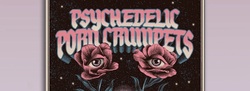 Psychedelic Porn Crumpets / Sugar Candy Mountain on May 28, 2024 [271-small]