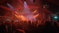 tags: Adult Cat, Manchester, England, United Kingdom, Gorilla - The Southern River Band / Adult Cat on Feb 10, 2026 [641-small]
