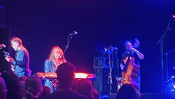 Hothouse Flowers / Mark Caplice on Feb 13, 2026 [702-small]