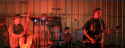 Wanda Jackson / Matt the Cat Trio on Aug 7, 2014 [728-small]