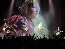 Suede / Bloodworm on Feb 17, 2026 [595-small]
