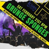 Grunge Sponges on Feb 21, 2026 [765-small]