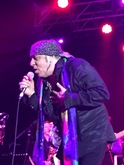 Little Steven & The Disciples of Soul on Dec 7, 2017 [799-small]