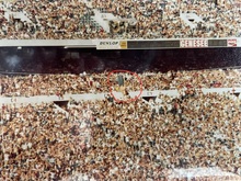 Notice the guy hanging upside down (circled) in the middle of the picture , The Rolling Stones / Bobby Womack / Outlaws on Aug 8, 1975 [136-small]