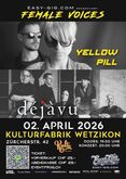 Yellow Pills / Déjàvu on Apr 2, 2026 [119-small]