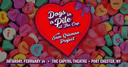 Dogs in a Pile on Feb 14, 2026 [237-small]
